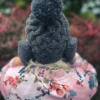 Czapka handmade krótka HAPPY ,,Ciemny szary"