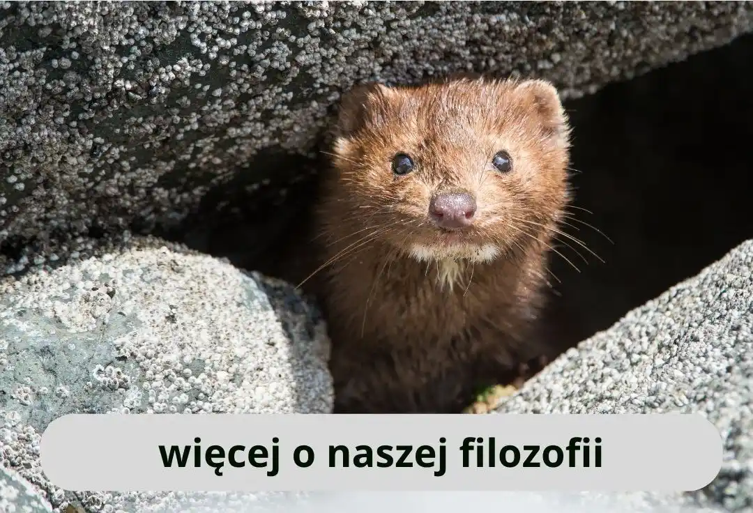 jedwab jako podszewka do czapki
