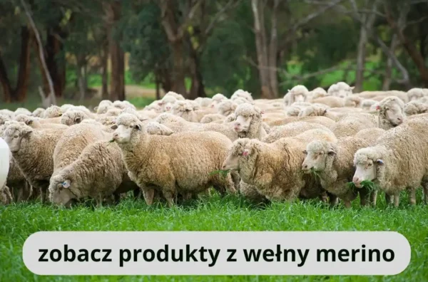 czapki z welny merino 600x396 1